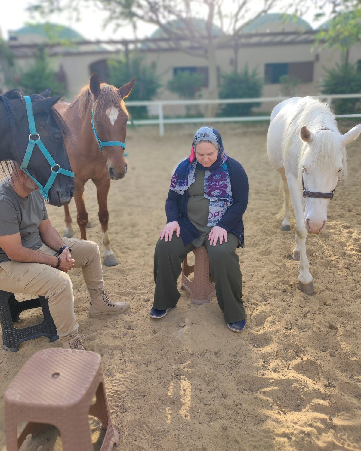 Team Day with the horses