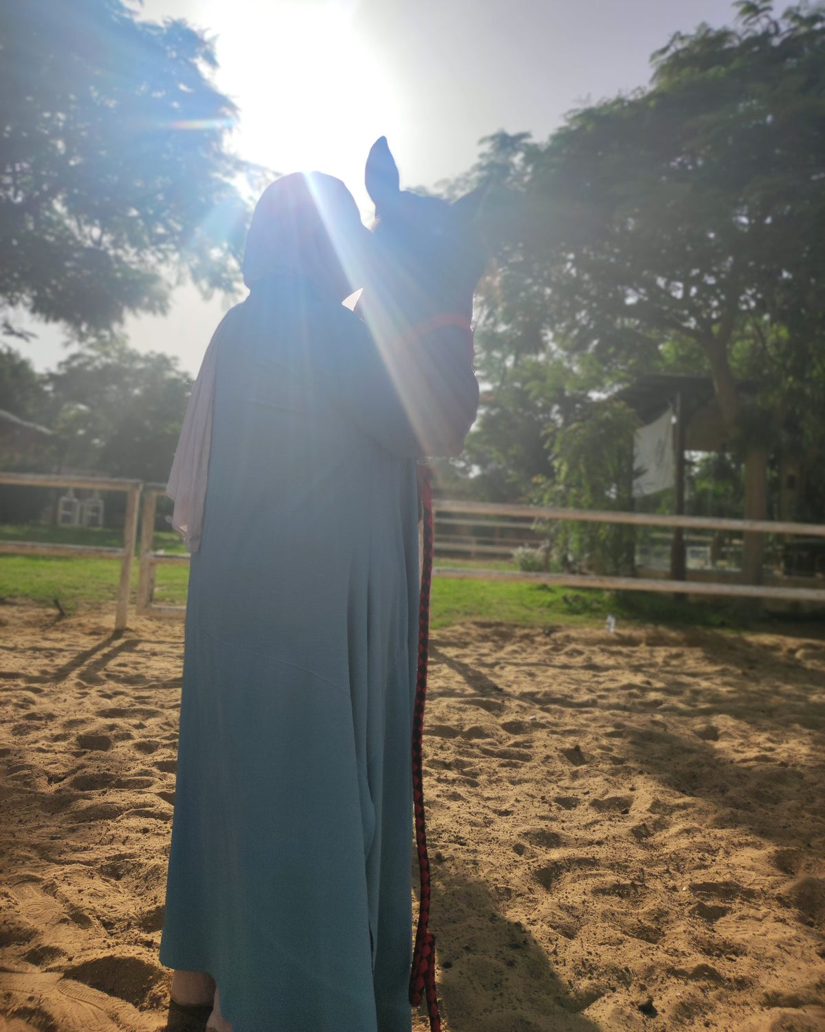 Themed Horse Guided Empowerment Day