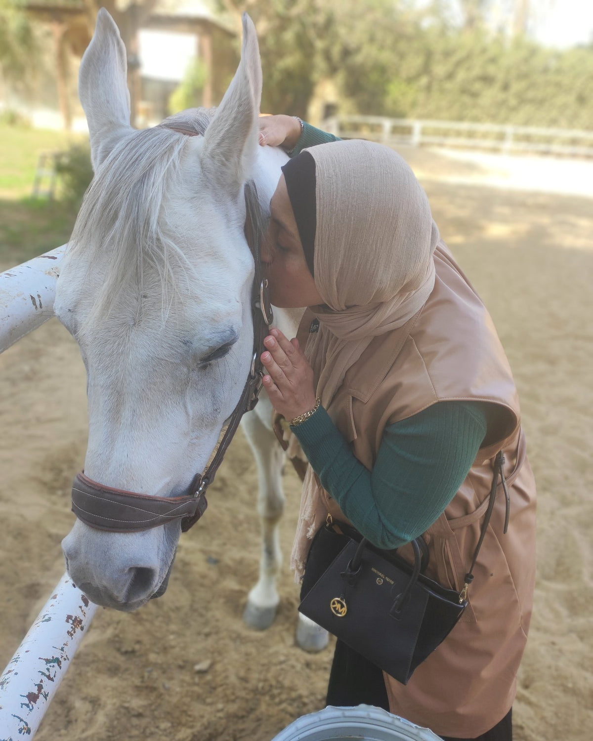 A love of horses became our life. Today we share it with you.