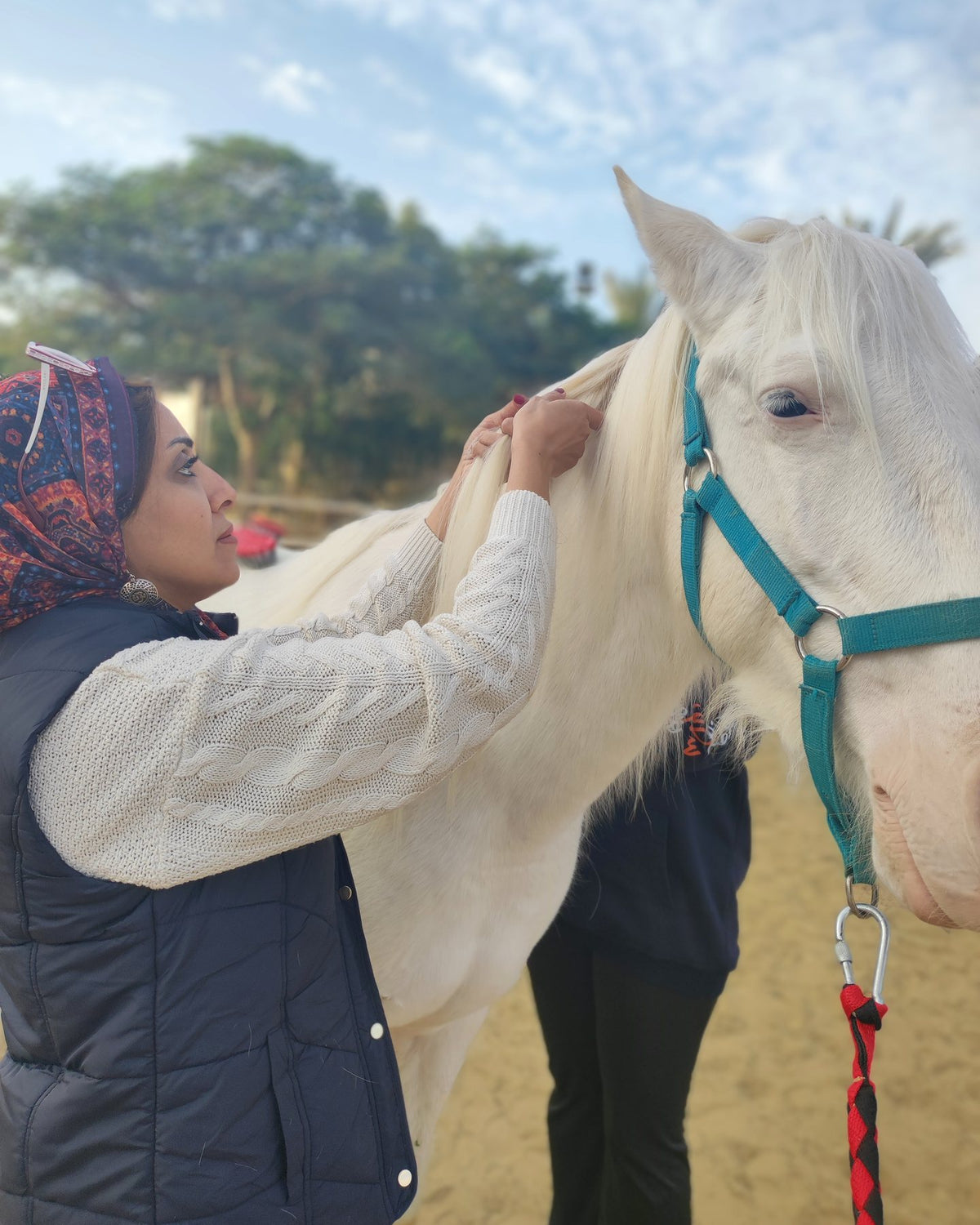 For people from the horse world who feel called to bring horses and people together.