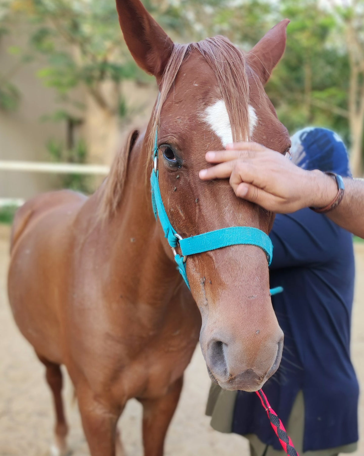 Dahab